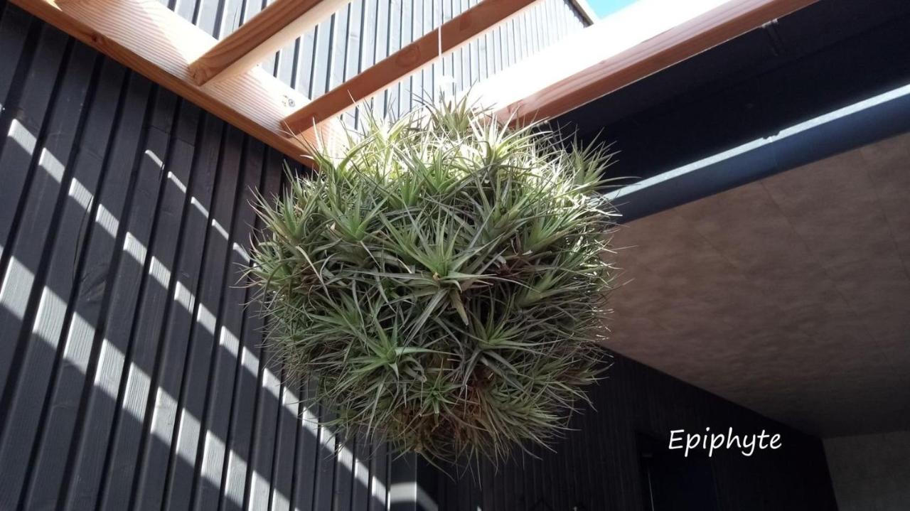 パンポルEpiphytes Et Succulentesアパートメント エクステリア 写真